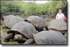 Ecuador, South America, Galapagos