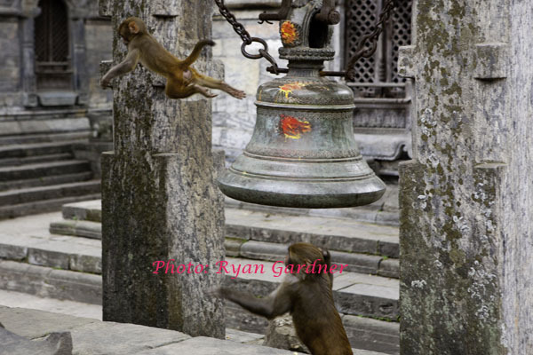 Nepal, Asia