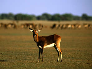 Zambia, Africa