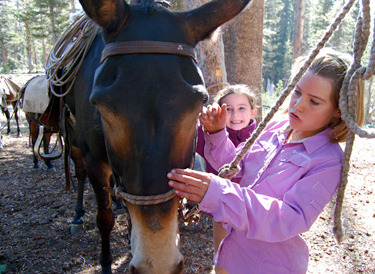 California, United States