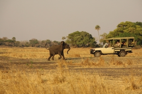 Tanzania, Africa