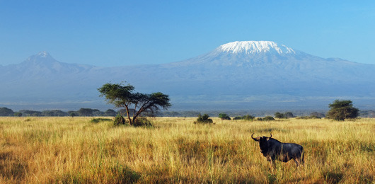 Tanzania, Africa