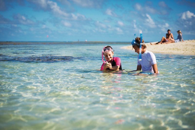 family
,  parents
,  kids
,  chiild
,  children
,  fun
,  active
,  koalas
,  kangaroos
,  , Australia, Cairns, Sydney, Port Douglas, Australia and Pacific