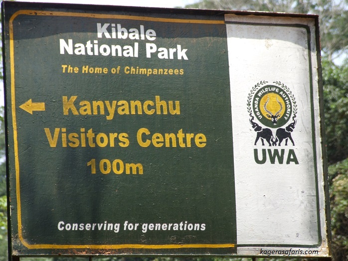 Kibale national park
, Chimpanzee trekking
, wildlife tours
, primate tours
, Uganda tours, Uganda, Africa