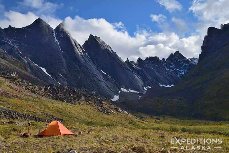 Arrigetch Peaks, Northwest, Alaska, United States, North America