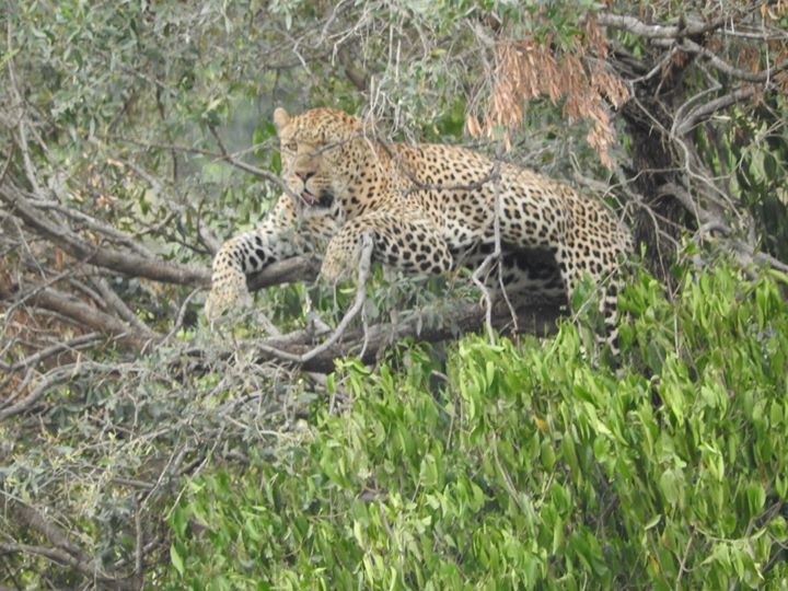 Nairobi, Kenya, Africa, Maasai Mara