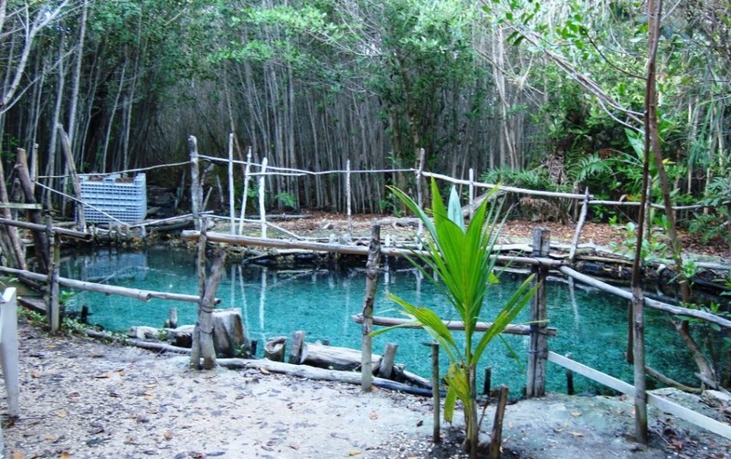 Mayan world
, Archeological
, Nature
, Cenotes
, Culture
, Mexico, North America