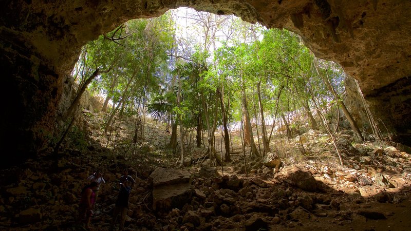 Mayan world
, Nature
, Culture
, Adventure
, Mexico, North America