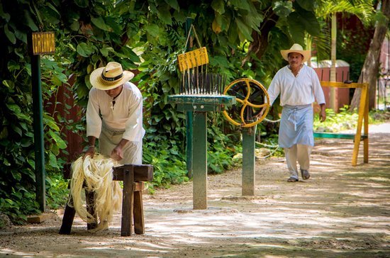 Mayan world
, Nature
, Culture
, Adventure
, Historical, Mexico, North America