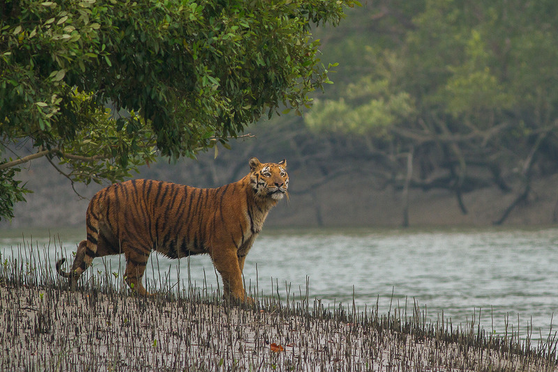 India, Southeast Asia